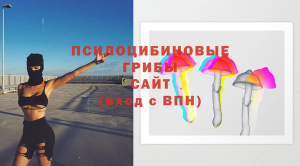 гашик Гусиноозёрск