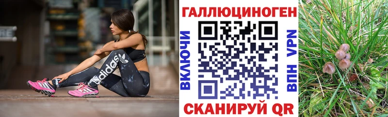 Галлюциногенные грибы ЛСД  наркошоп  Ростов-на-Дону 
